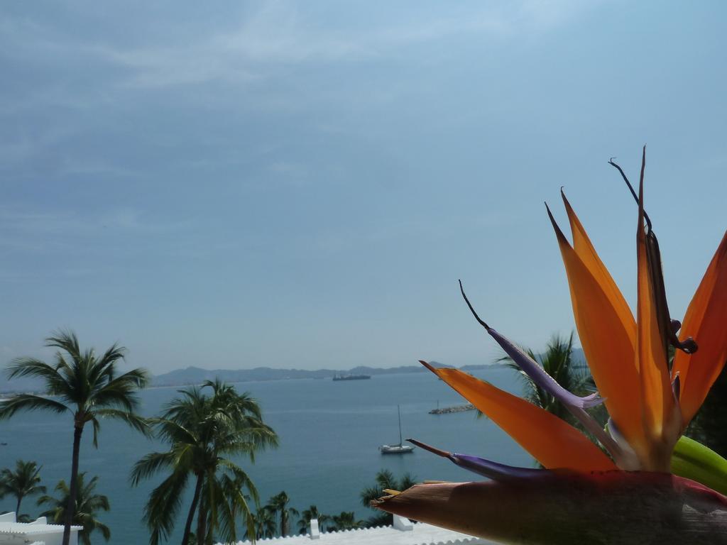 Dolphin Cove Inn 만사니요 외부 사진